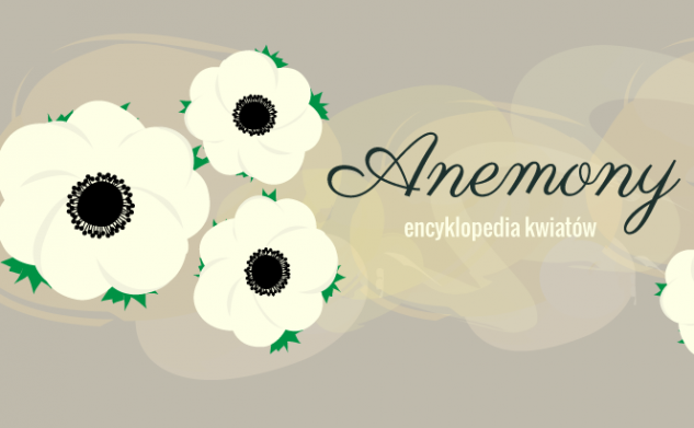 [kwiaty] Anemony